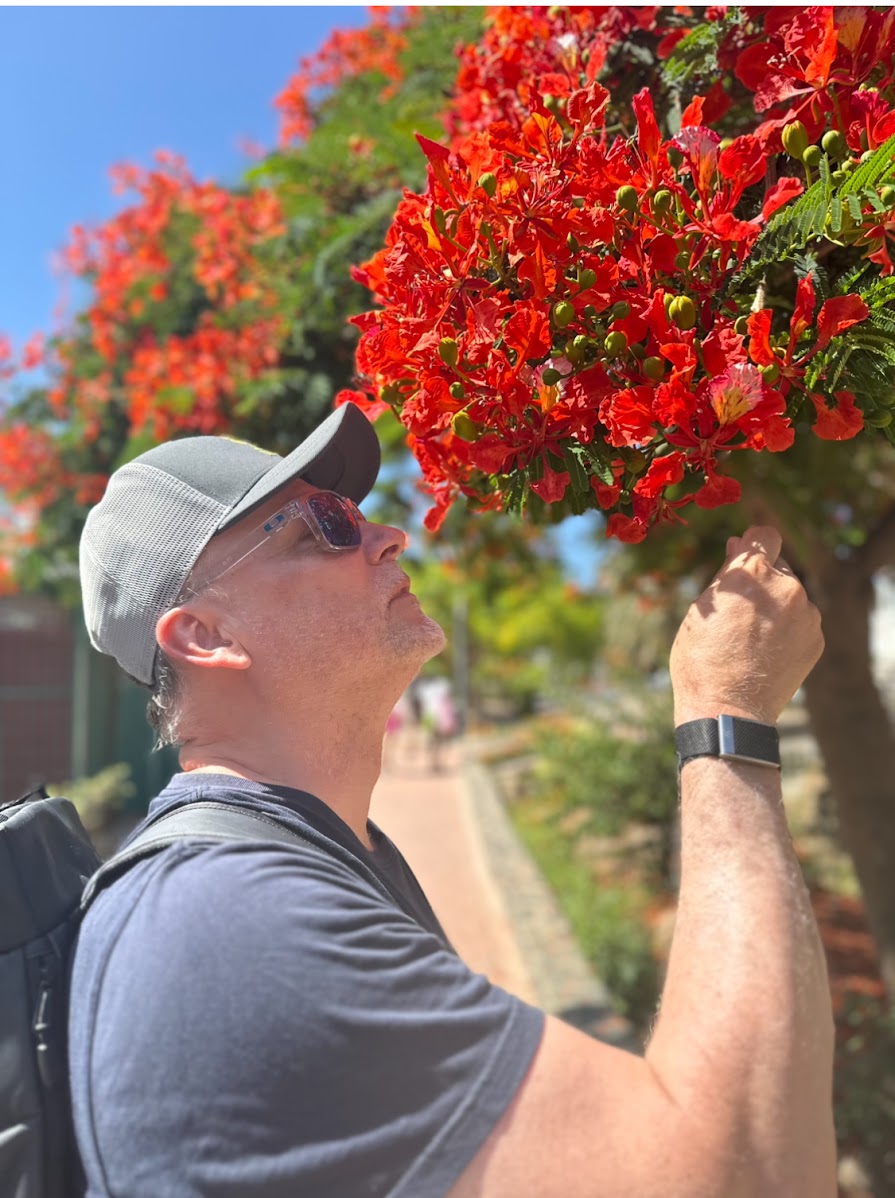 Odd Inge Johansen i caps og solbriller som ser opp på et tre med knallrøde blomster en solfylt feriedag